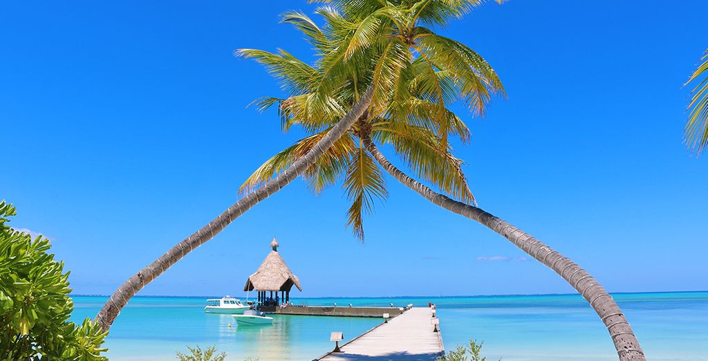 Minitour privato dello Sri Lanka + estensione mare al Canareef Resort Maldives 4*