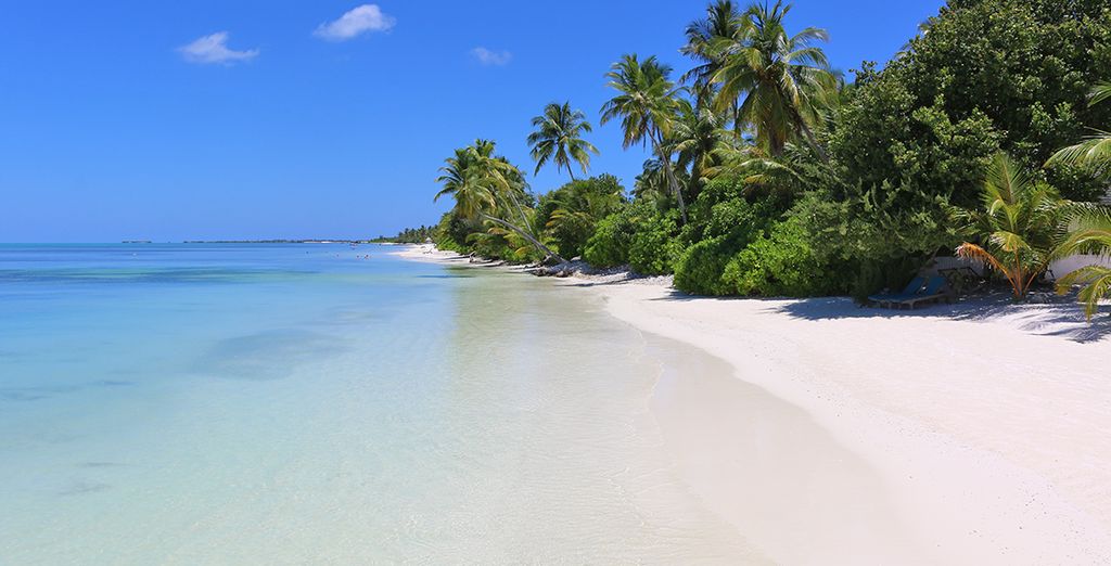 Minitour privato dello Sri Lanka + estensione mare al Canareef Resort Maldives 4*
