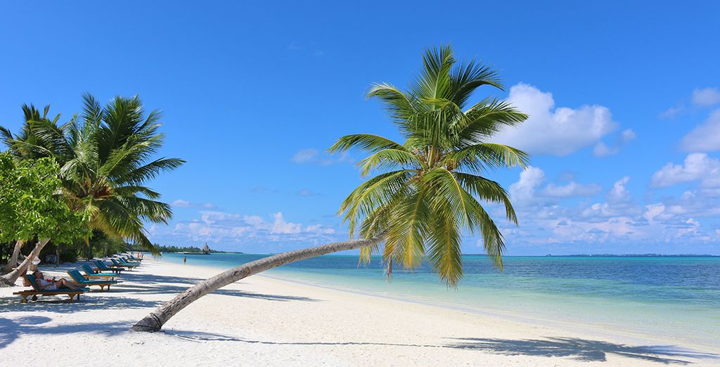 Minitour privato dello Sri Lanka + estensione mare al Canareef Resort Maldives 4*