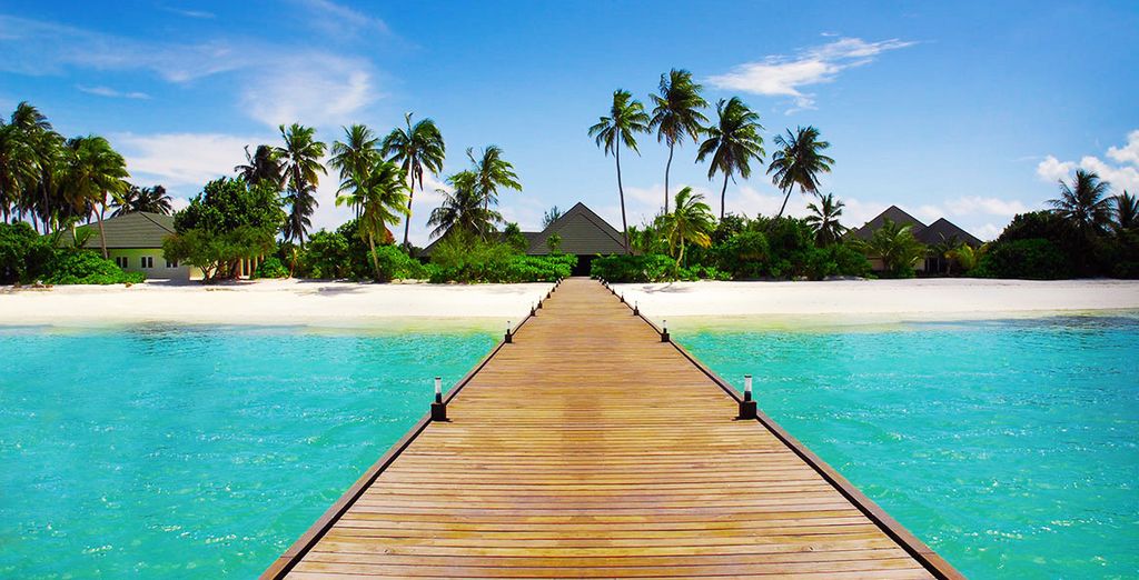 Minitour privato dello Sri Lanka + estensione mare al Canareef Resort Maldives 4*