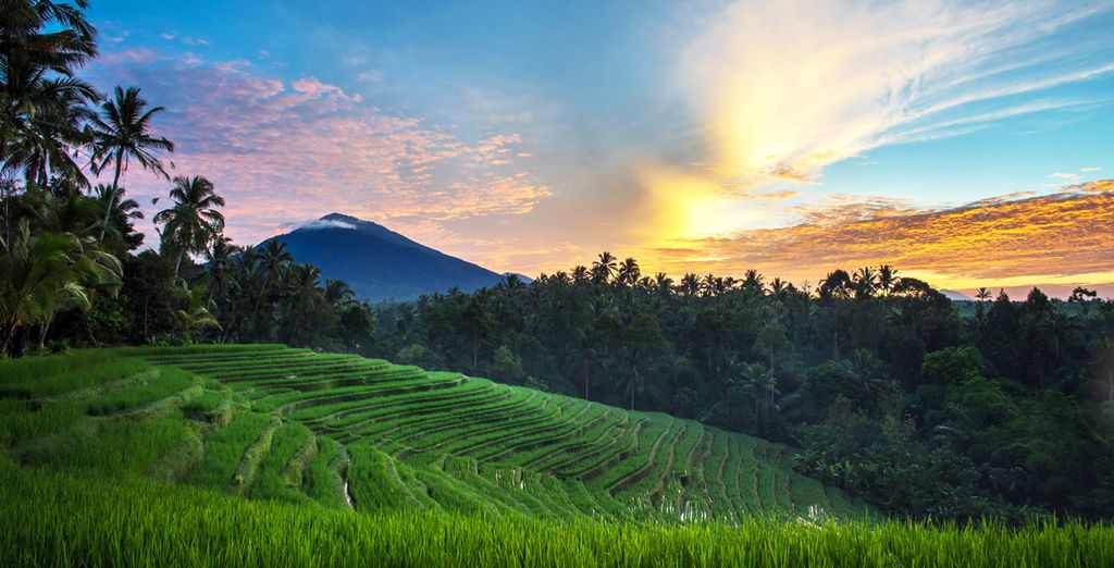 Desa Visesa Ubud 5* + Grand Hyatt Bali 5*