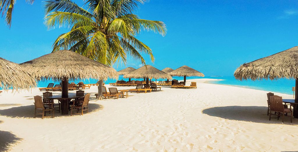 Palm Beach Island Resort & Spa 4*