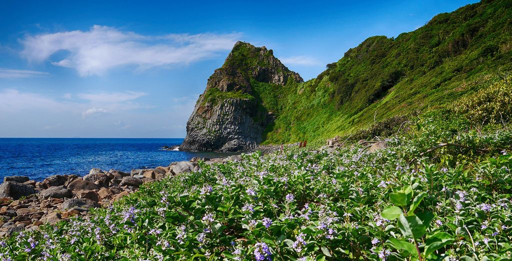 Tour del Giappone tra città e isole