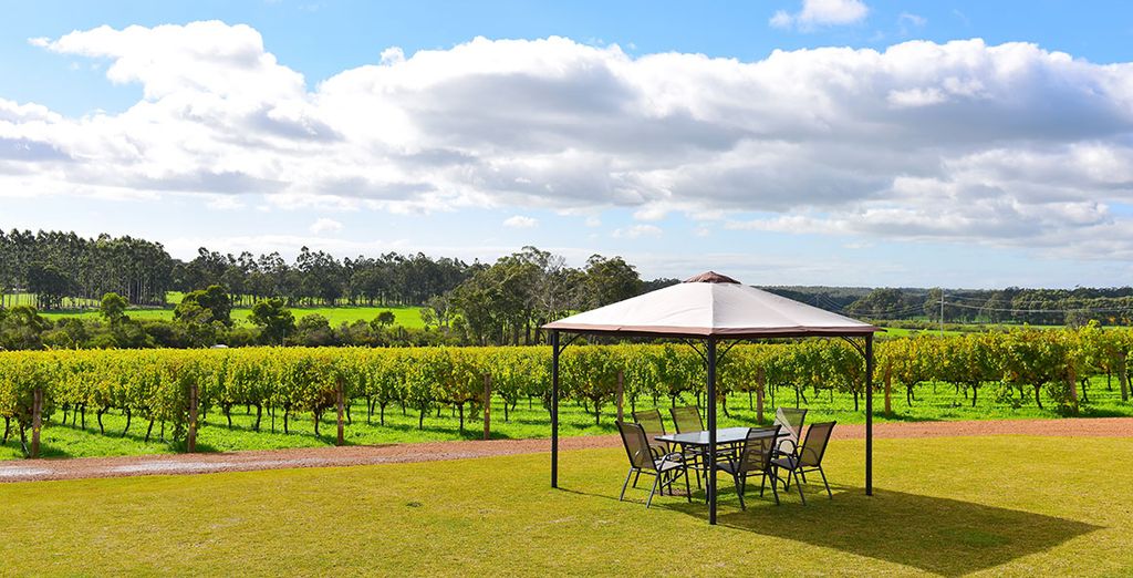Tour alla scoperta dell'Australia del Sud e delle sue città