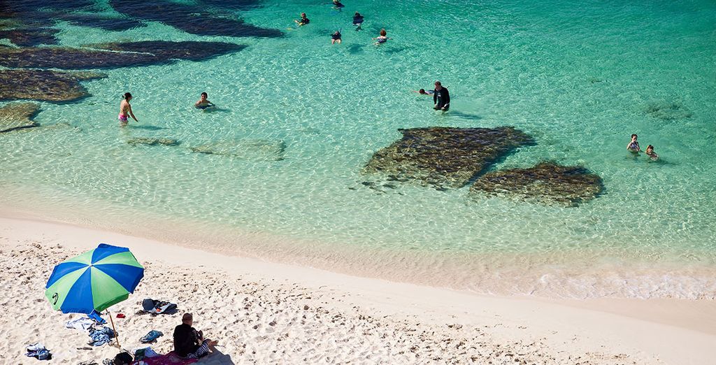 Tour alla scoperta dell'Australia del Sud e delle sue città