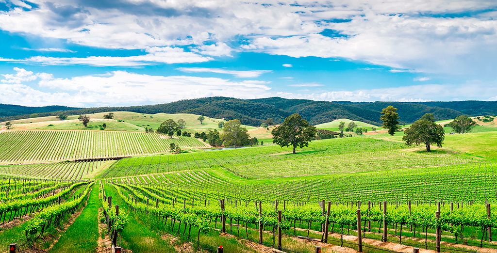 Tour alla scoperta dell'Australia del Sud e delle sue città