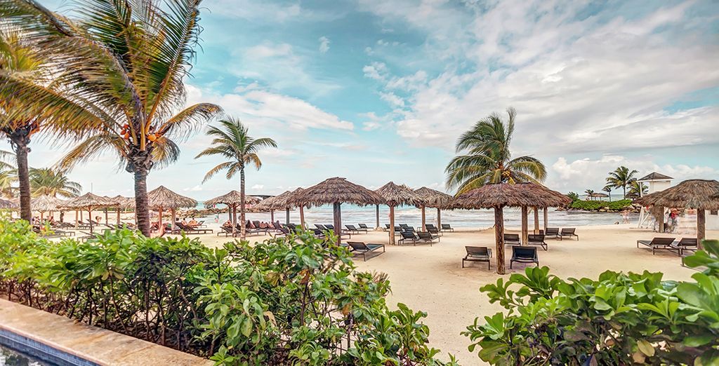 Meliá Orlando Suite Hotel at Celebration 4* + Royalton White Sands 5* 
