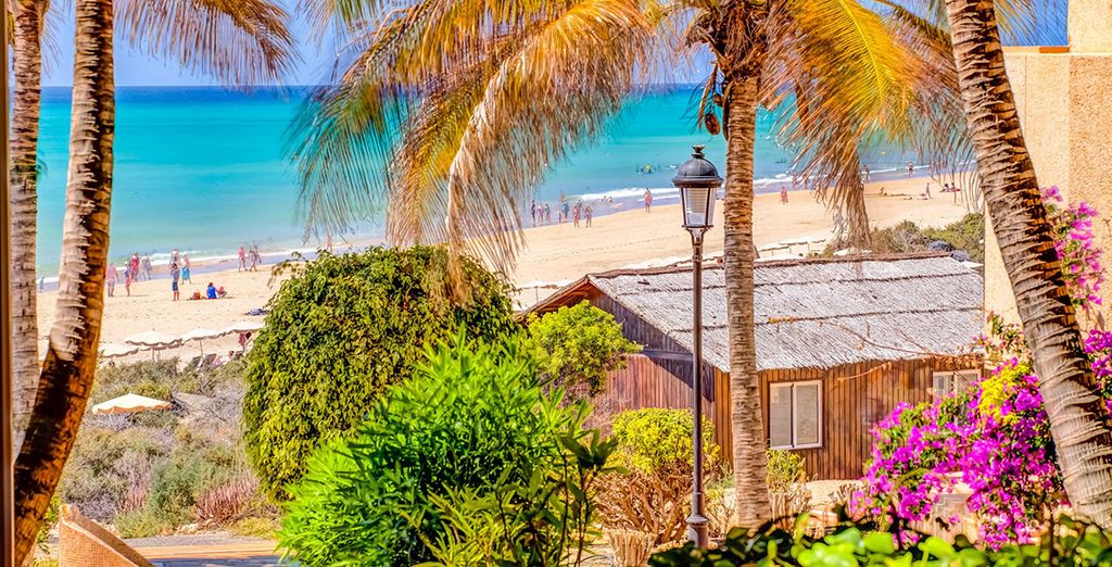 Hotel Taro Beach 4*