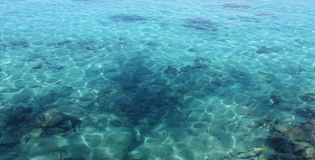 Le meraviglie di Cuba con soggiorno mare a Cayo S. Maria
