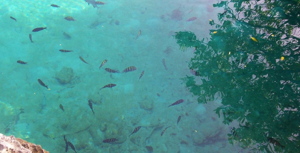 Le meraviglie di Cuba con soggiorno mare a Cayo S. Maria