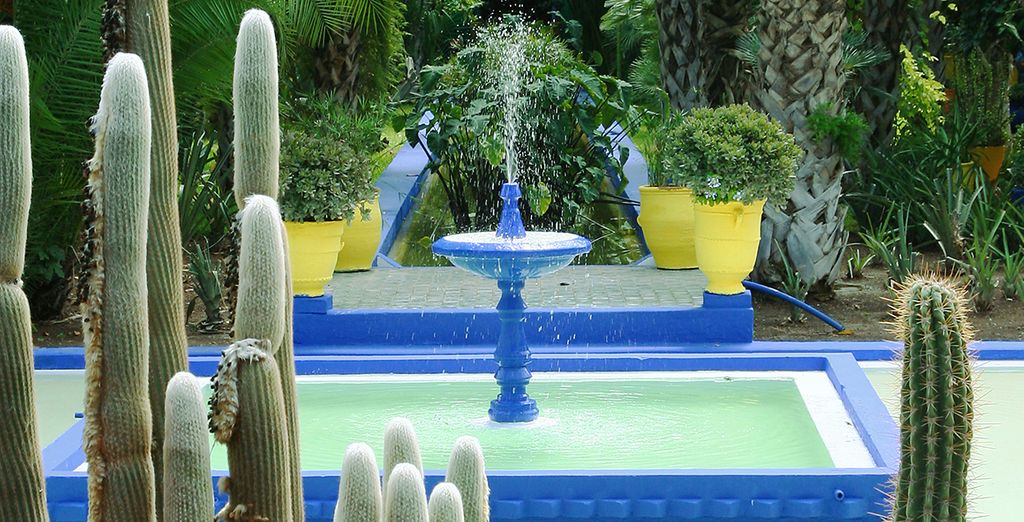 Riad Miral