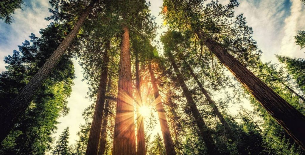 California e Las Vegas in totale libertà