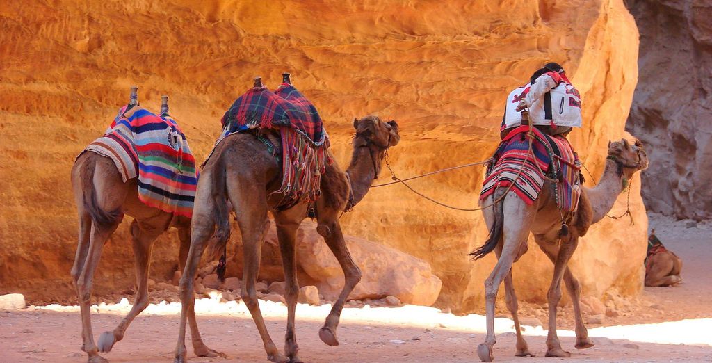 Tour della Giordania con itinerario speciale per Capodanno