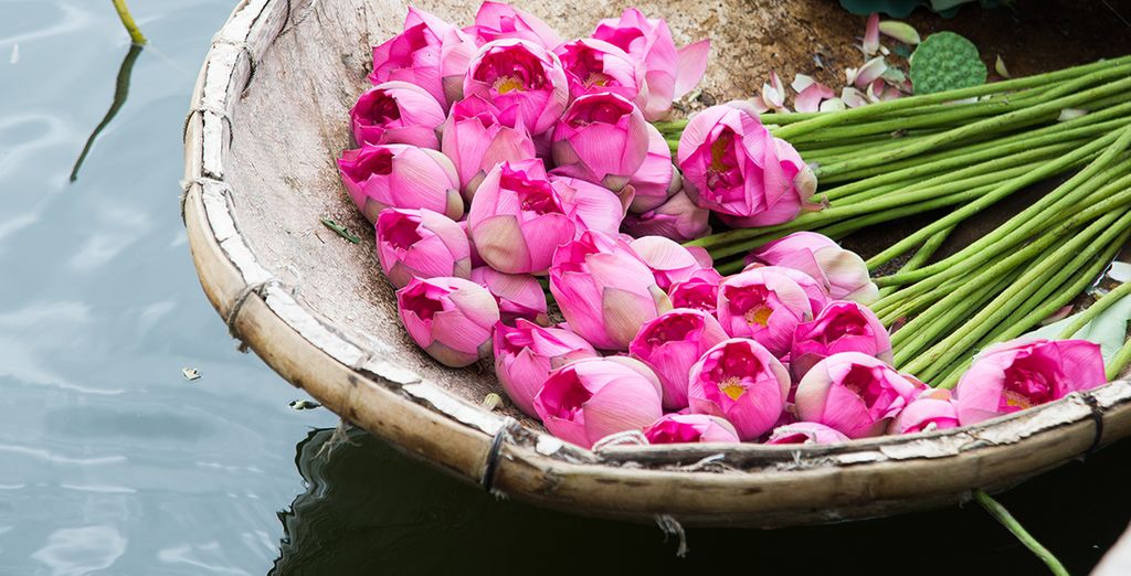 Tour del Vietnam con estensione in Cambogia