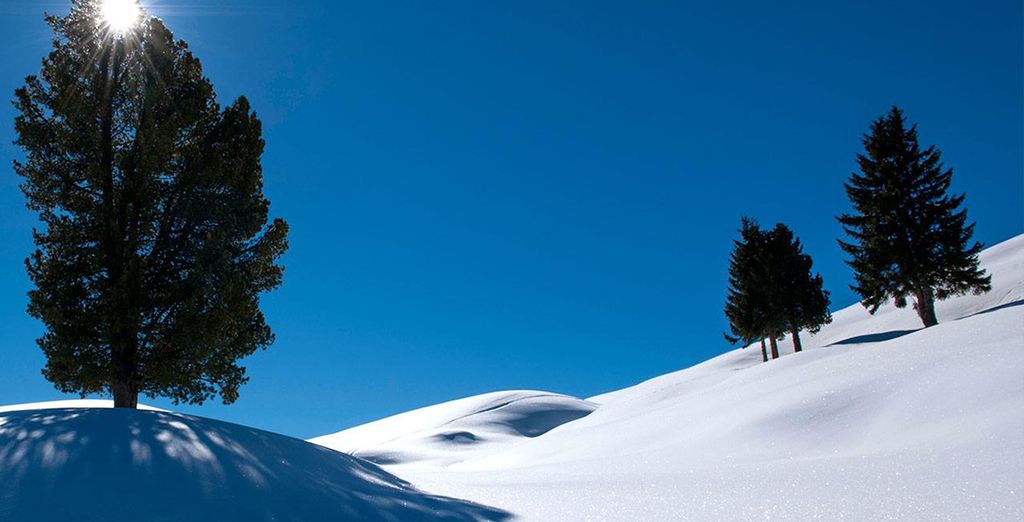 Hotel Seiser Alm Urthaler 5*