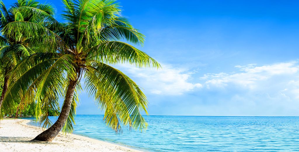 Holiday Island 4* - Sun Island 4* - Paradise Island 5*