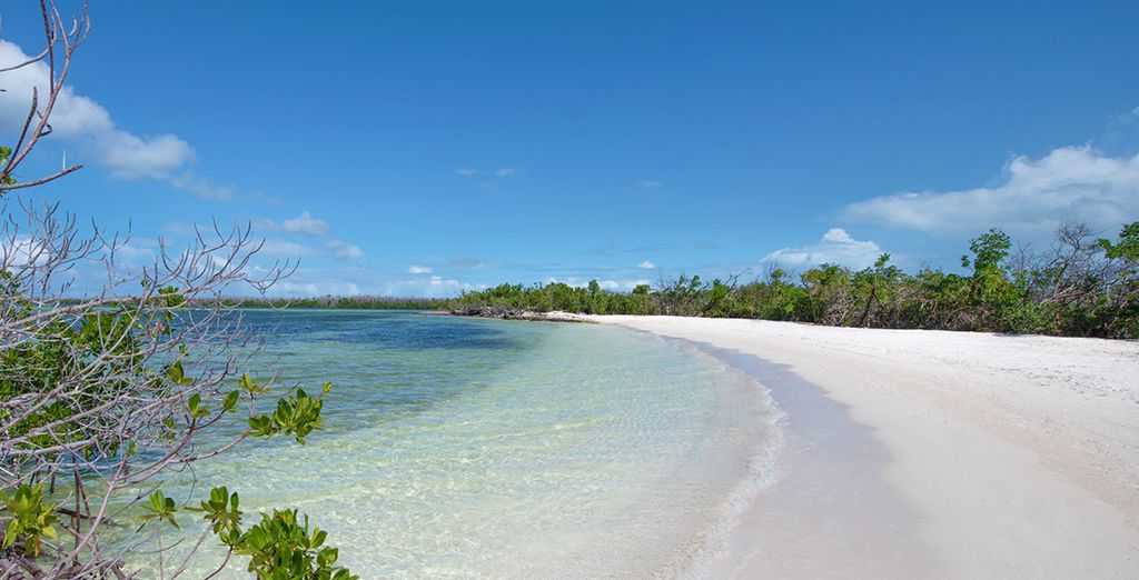 NH Capri La Habana 4* + Hotel Angsana Cayo Santa Maria 5* - Adults Only