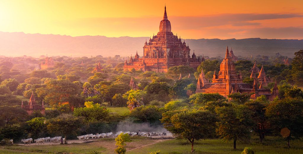Tour privato del Myanmar