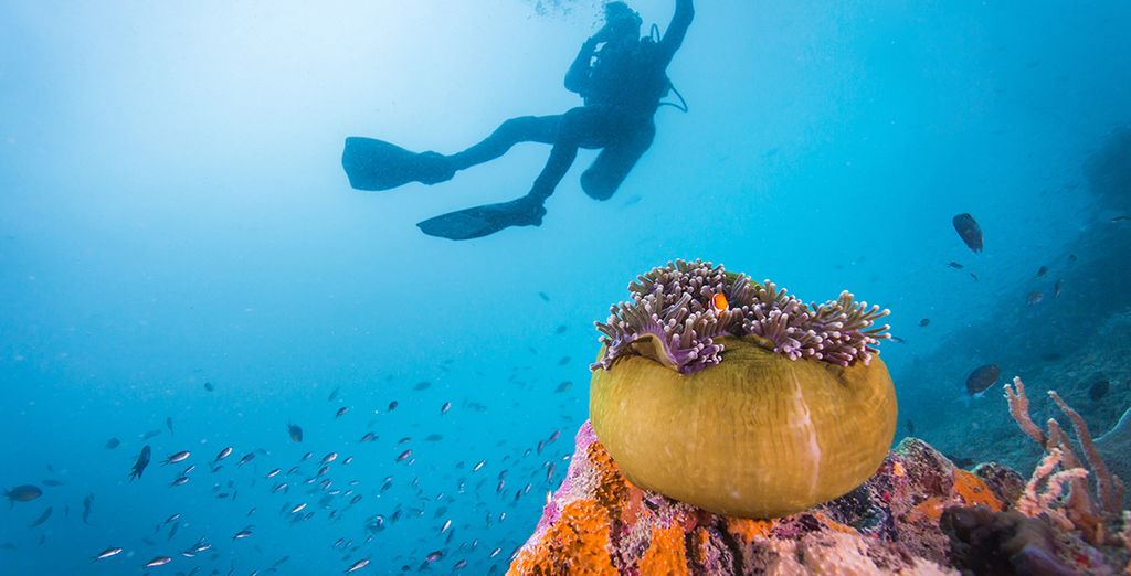 Alla scoperta delle due perle delle Filippine in tour