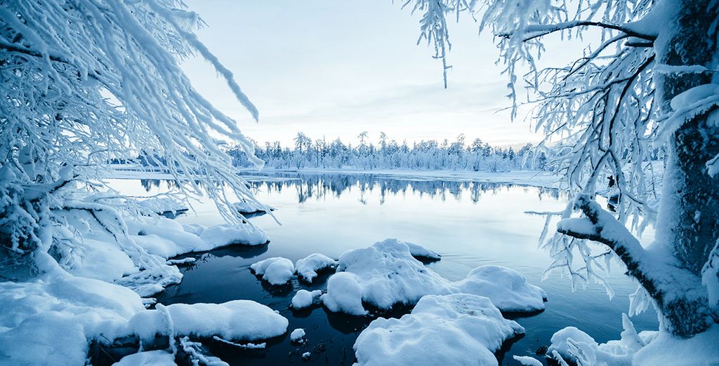 Safari artico tra le meraviglie naturali della Lapponia