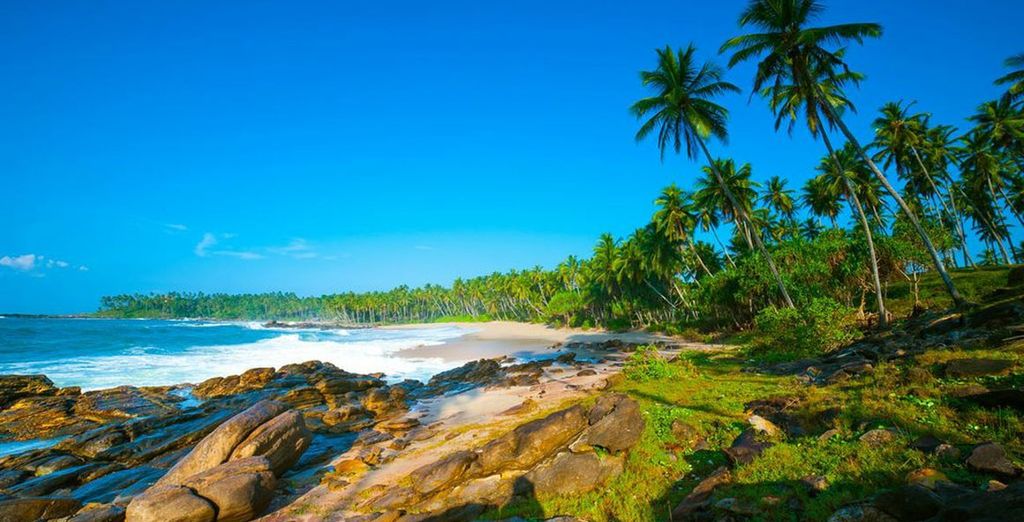 Tour Privaro Sri Lanka + estensione mare a Bentota