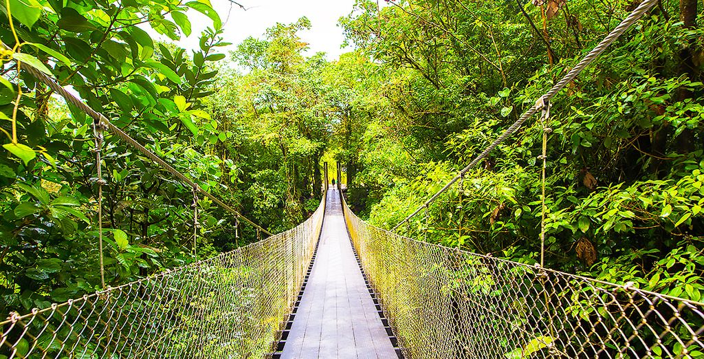 Autotour Costa Rica & Panama con noleggio auto incluso