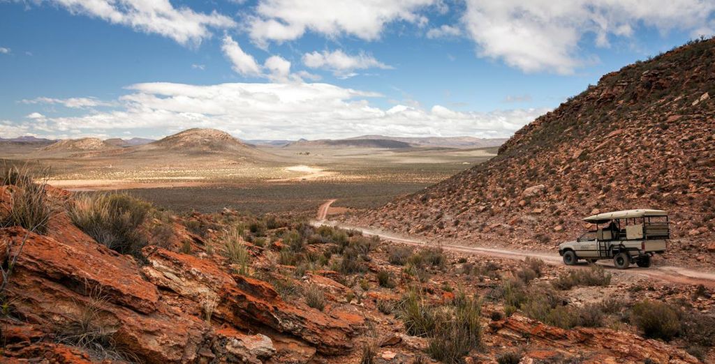 Cape Town e Safari in libertà con noleggio auto incluso