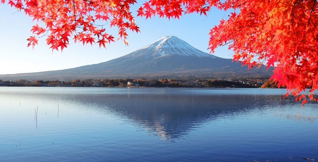 Tour del Giappone tra città e spiagge bianche