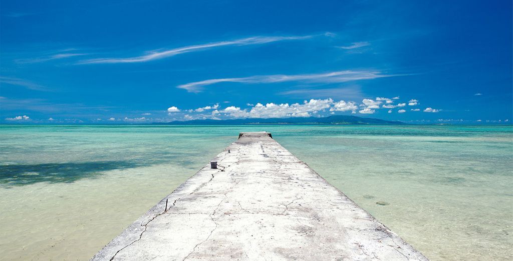Tour del Giappone tra città e spiagge bianche