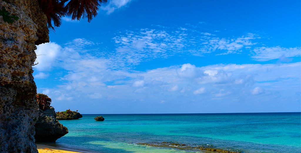 Tour del Giappone tra città e spiagge bianche