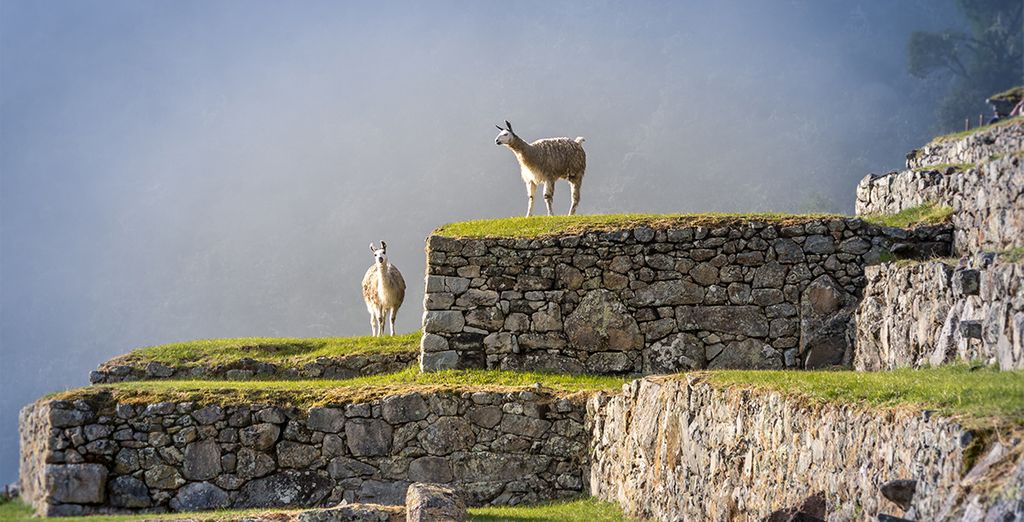 Tour di 12 notti con guida parlante italiano