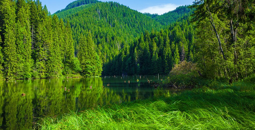 Tour della Transilvania, Bucarest e i castelli dei Carpazi