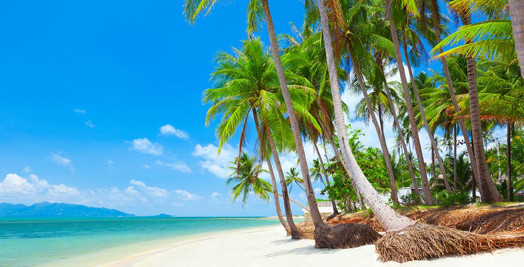 Manathai Koh Samui 4* + Panviman Resort 5*