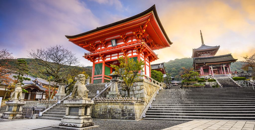 Tour del Giappone tra zen e benessere
