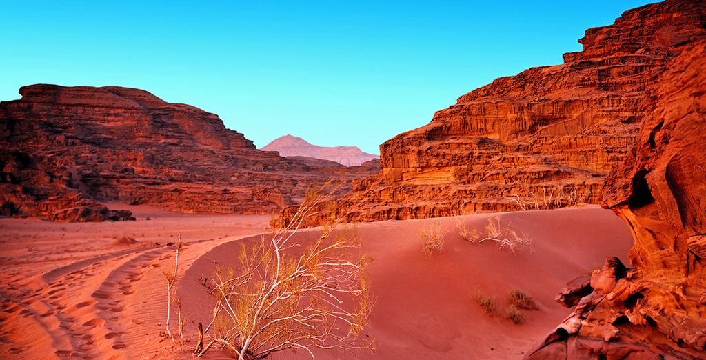 Giordania classica e Wadi Rum con guida parlante italiano