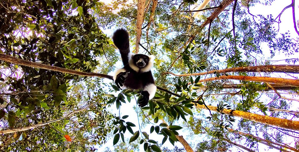 Tour del Madagascar con soggiorno al Nosy Be Hotel & Spa