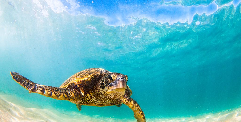 Tour del Madagascar con soggiorno al Nosy Be Hotel & Spa