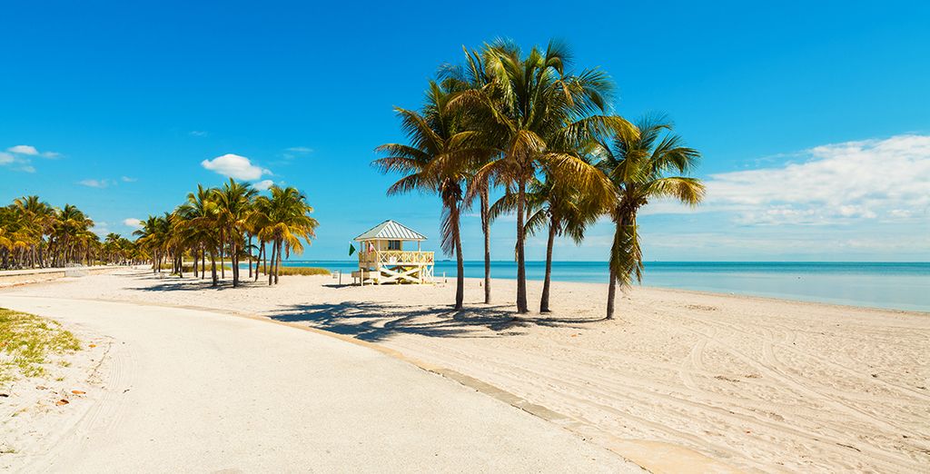 Kimpton Hotel Palomar South Beach 4* + crociera alle Bahamas 