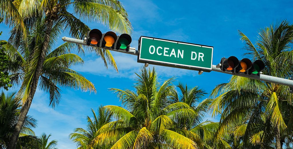 Kimpton Hotel Palomar South Beach 4* + crociera alle Bahamas 