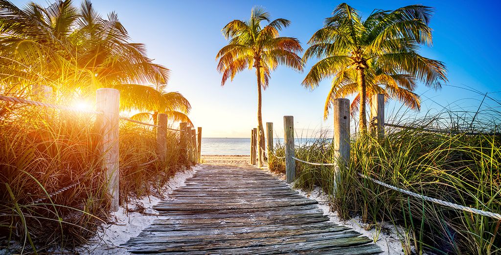 Kimpton Hotel Palomar South Beach 4* + crociera alle Bahamas 