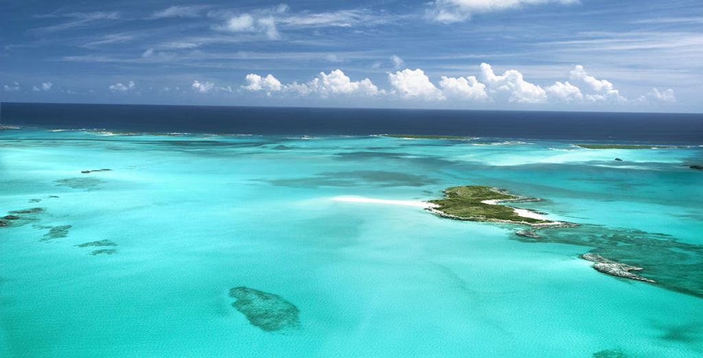 Kimpton Hotel Palomar South Beach 4* + crociera alle Bahamas 