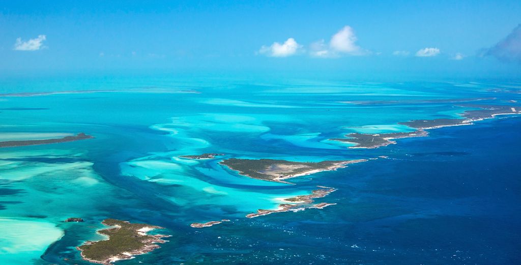Kimpton Hotel Palomar South Beach 4* + crociera alle Bahamas 