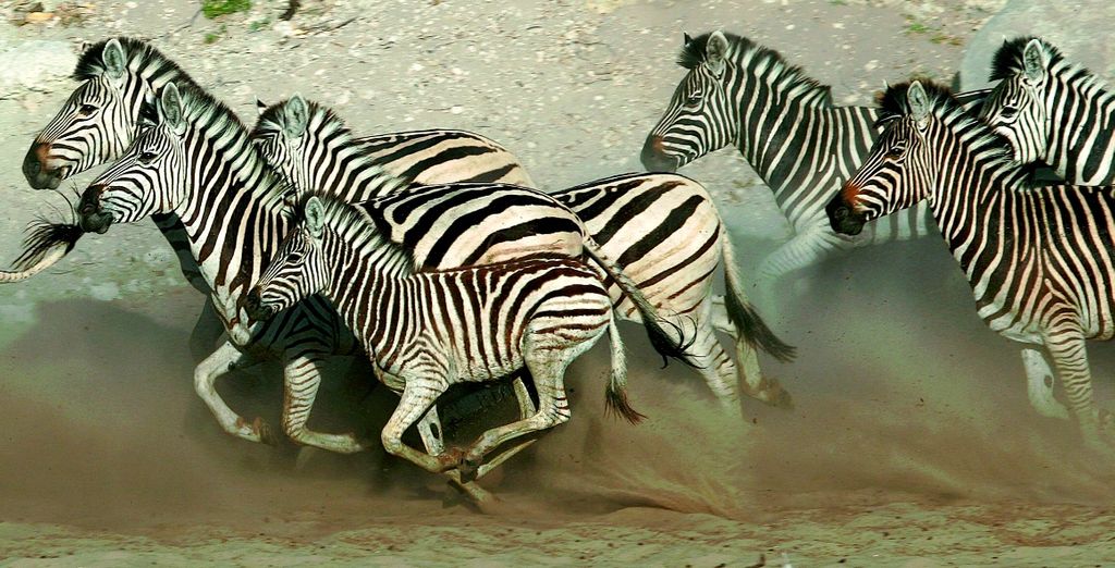 Tour della Namibia, del Botswana e delle Victoria Falls