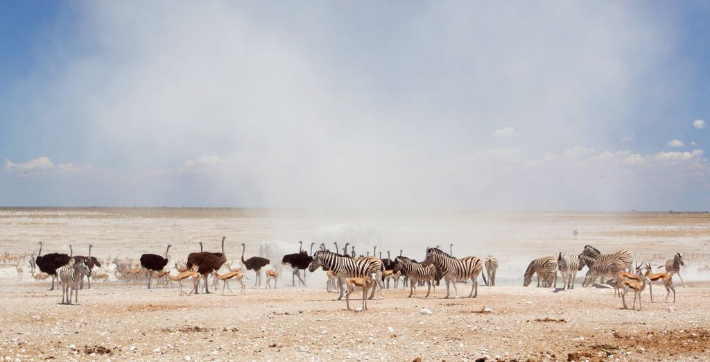 Tour della Namibia, del Botswana e delle Victoria Falls