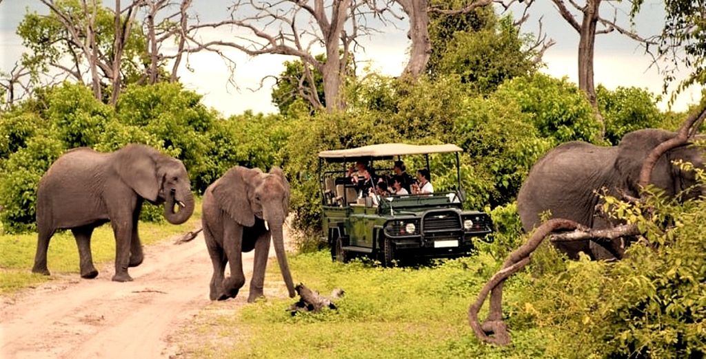 Tour della Namibia, del Botswana e delle Victoria Falls