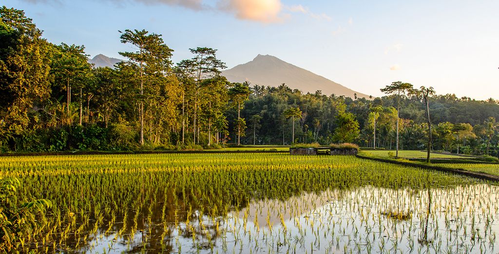 Ubud Village Hotel 4* + Wyndham Sundancer Resort 5* + Hilton Bali Resort 5*