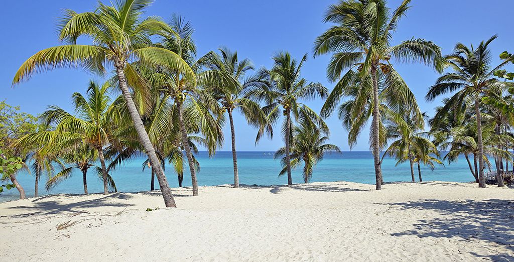 Casa particular Superior  a L'Avana + Hotel Melia Varadero 5*