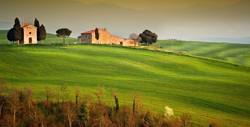 Tenuta di Artimino 4*