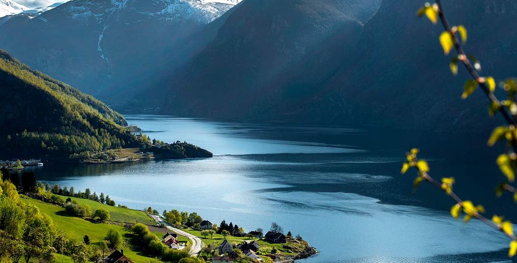 Tour dei Fiordi Norvegesi con guida in italiano