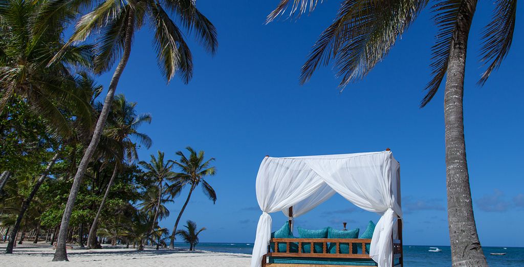 Hotel Amani Tiwi Beach Resort 5* e Safari